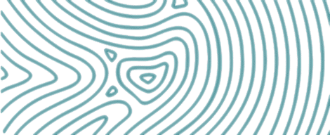 contact element