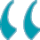 review icon